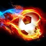 Martin__33